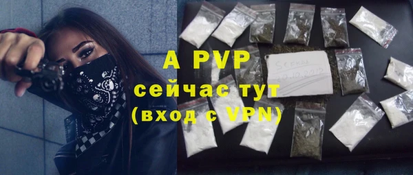 стафф Аркадак