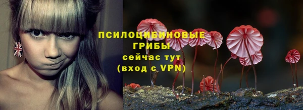 бутират Арсеньев