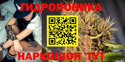 прущие крисы Гатчина