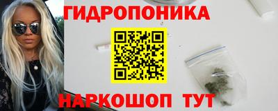 прущие крисы Гатчина